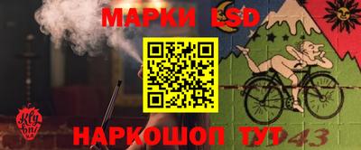 шишки Гагарин