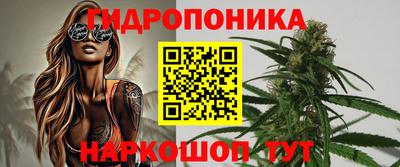 скорость Гай
