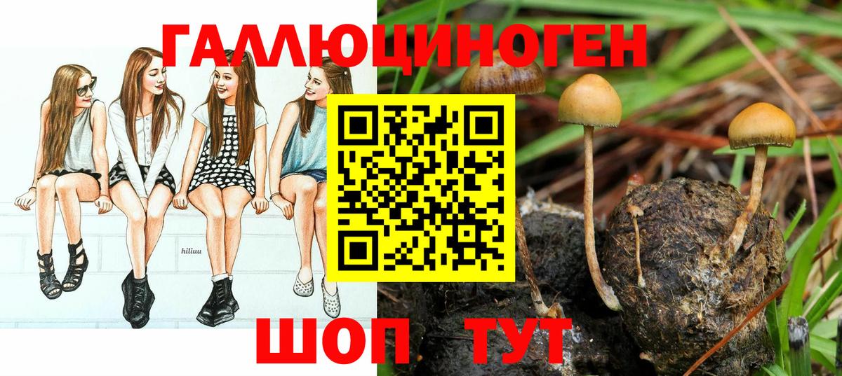 Псилоцибиновые грибы прущие грибы Ноябрьск