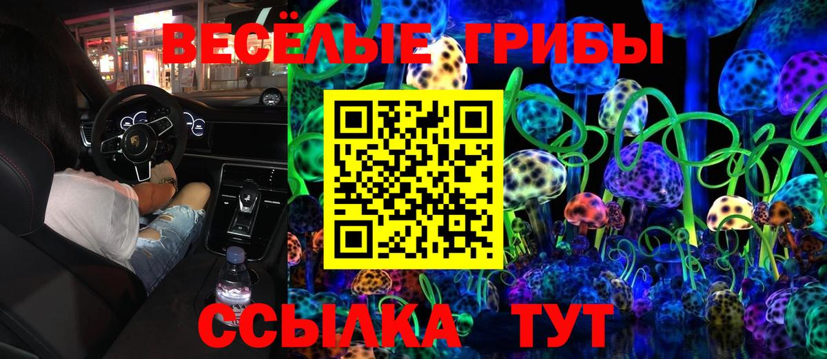 Ноябрьск  Галлюциногенные грибы ЛСД  Вход с VPN  Галлюциногенные грибы Psilocybine cubensis 